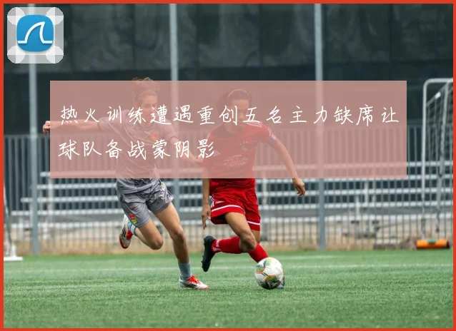 热火训练遭遇重创五名主力缺席让球队备战蒙阴影