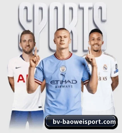 宝威体育围绕看球场景设计的核心服务 - 多运动项目内容板块 - BOWWAYSPORTS