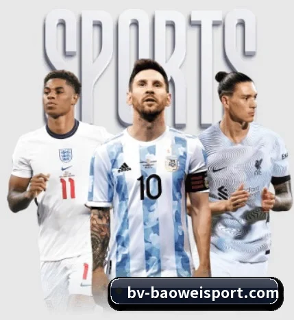 用内容积累长期价值(BOWWAYSPORTS)